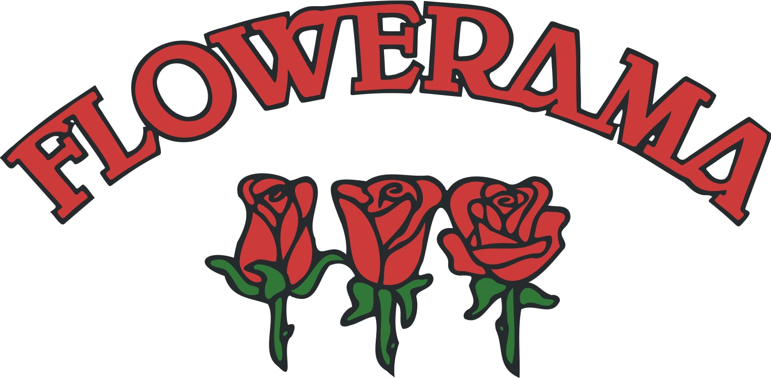 All About Gerbera Daisys Flowerama San Antonio San Antonio